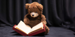 A teddy bear sat reading a red book.